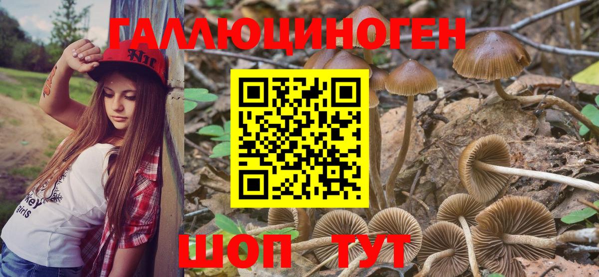 Псилоцибиновые грибы GOLDEN TEACHER Реж